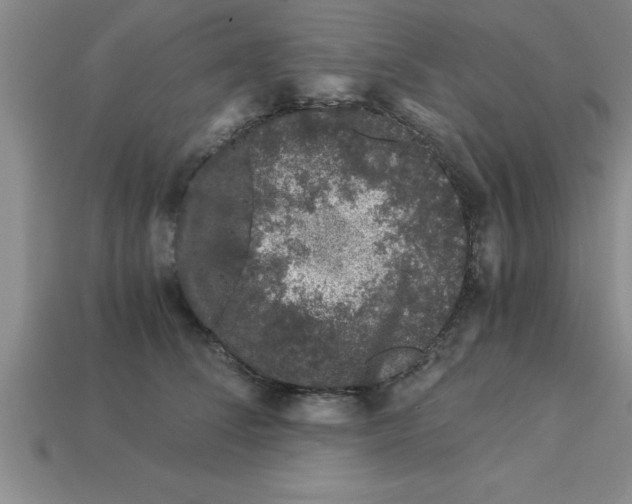 X0000112880708200910021353