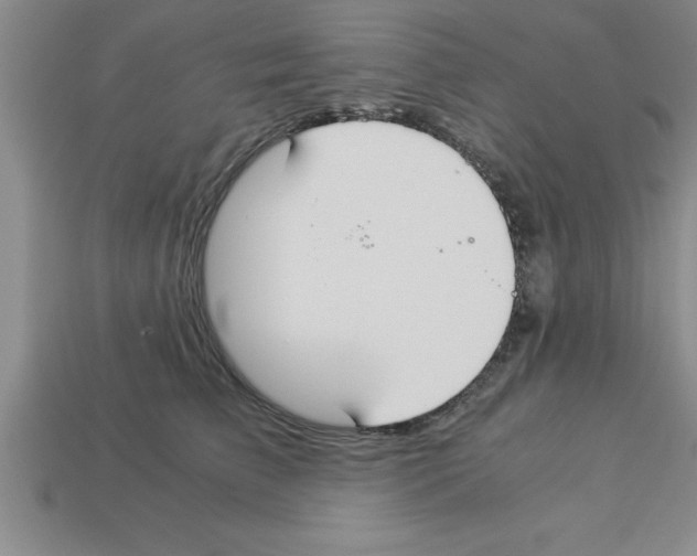 X0000112880709200910021353