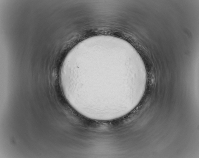 X0000112880711200910021353