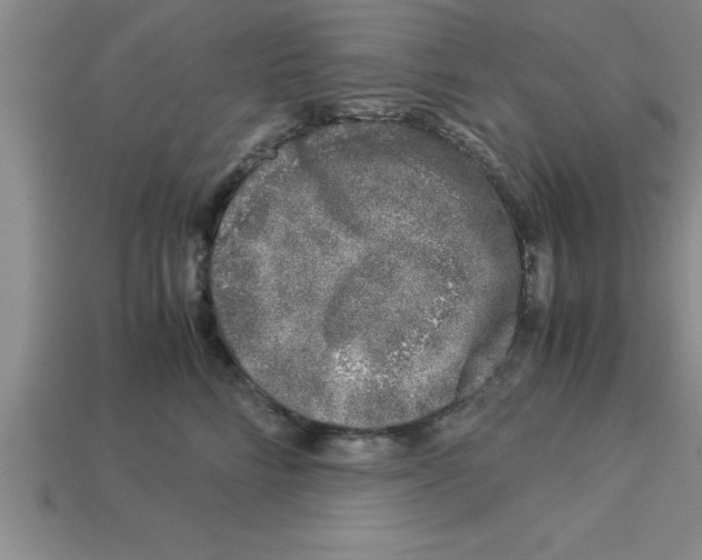 X0000112880712200910021353