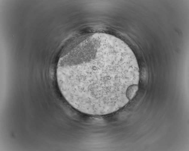 X0000112880715200910021353