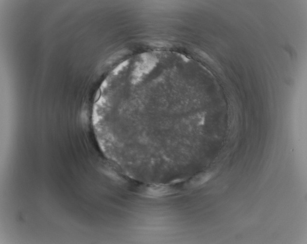 X0000112880720200910021353