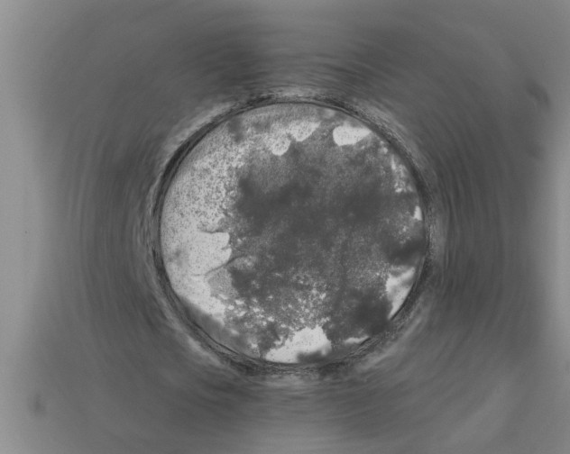 X0000112880721200910021352