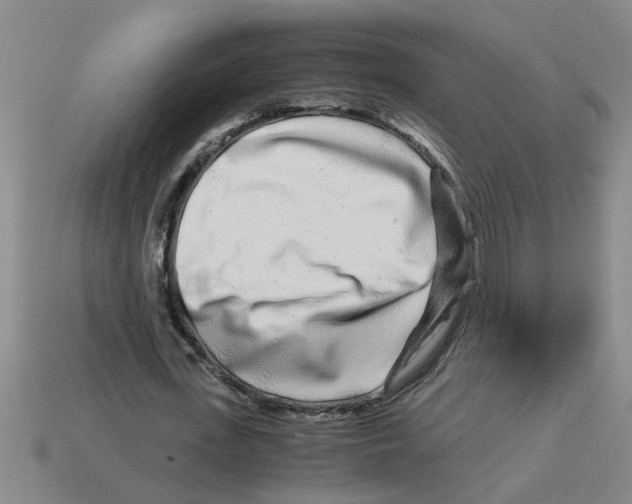 X0000112880723200910021352