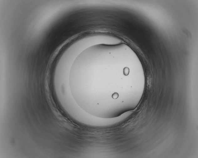 X0000112880724200910021352