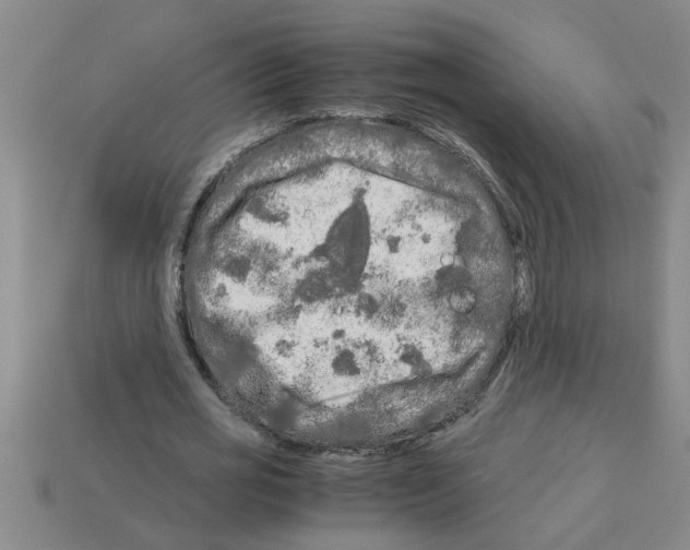 X0000112880725200910021352