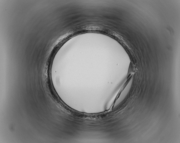 X0000112880727200910021352