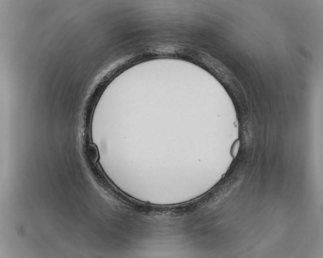 X0000112880728200910021352