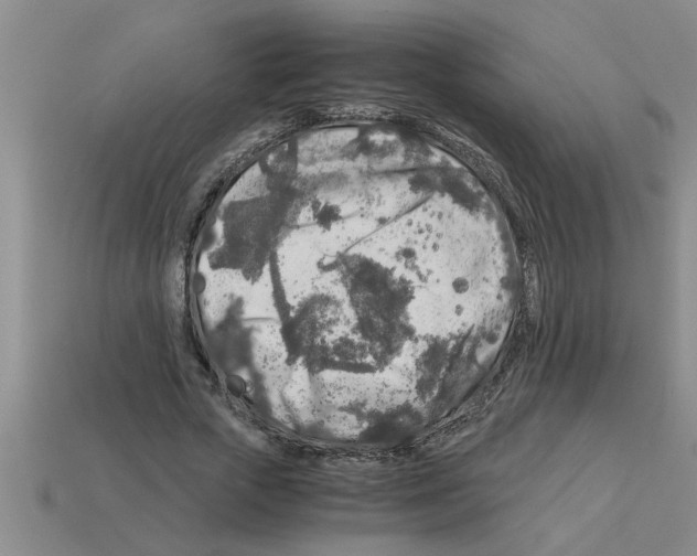 X0000112880729200910021352