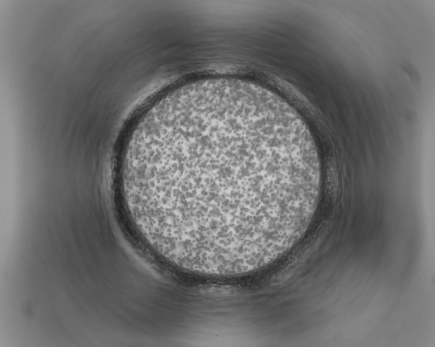 X0000112880730200910021352