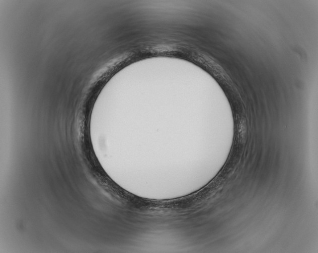 X0000112880732200910021352