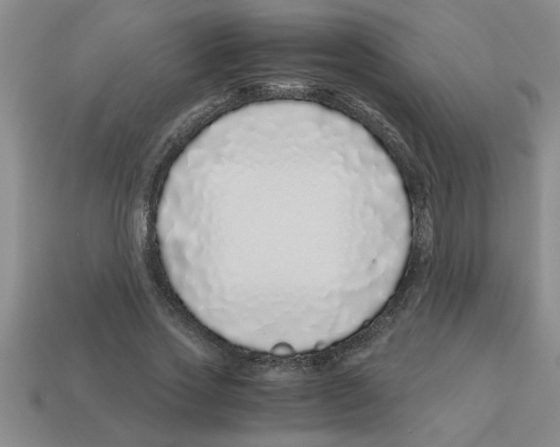 X0000112880733200910021352