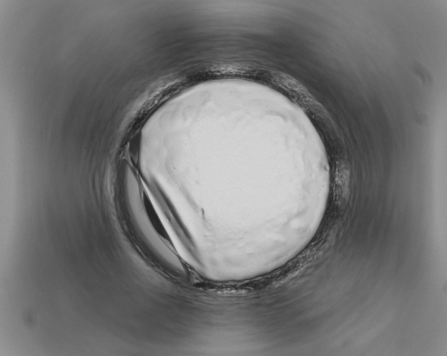 X0000112880734200910021353