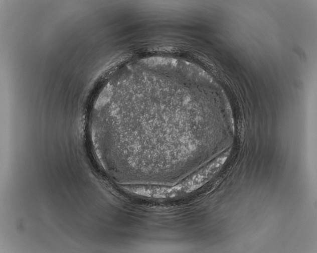 X0000112880735200910021353