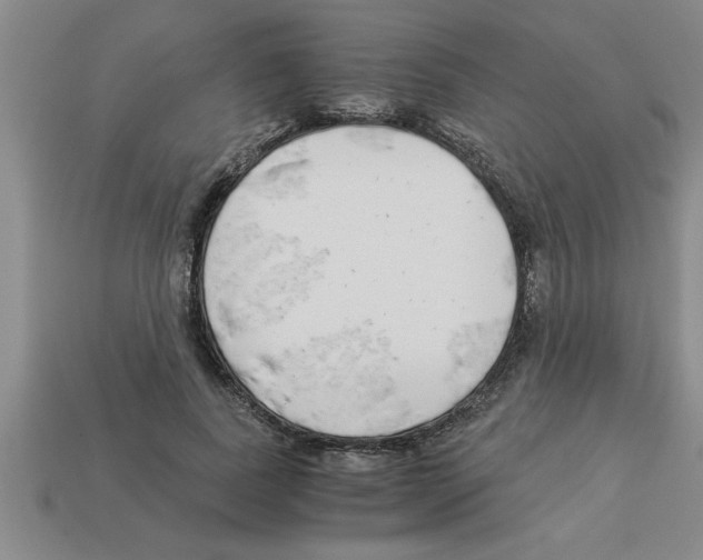 X0000112880739200910021353