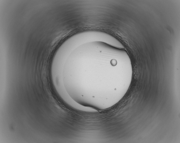 X0000112880740200910021353