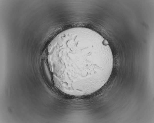 X0000112880742200910021353