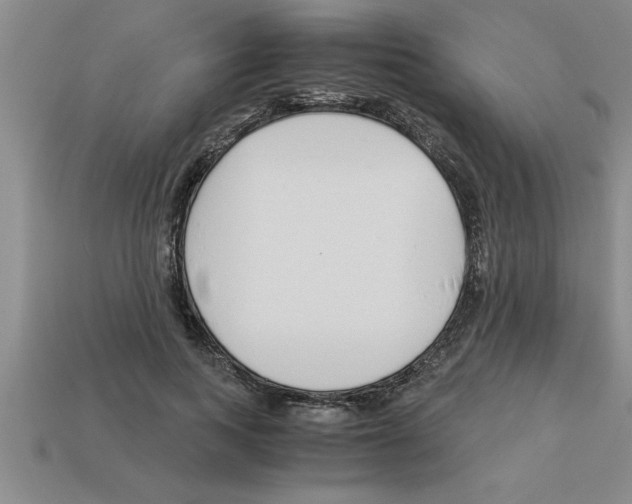 X0000112880743200910021353