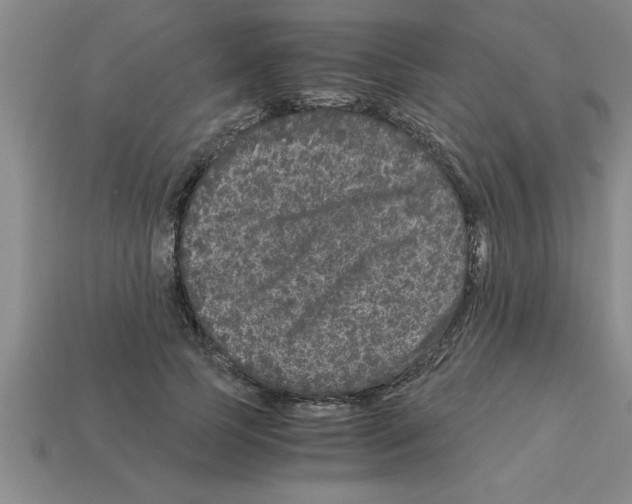 X0000112880745200910021353