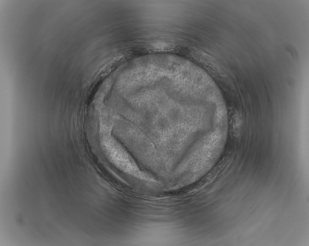 X0000112880746200910021353