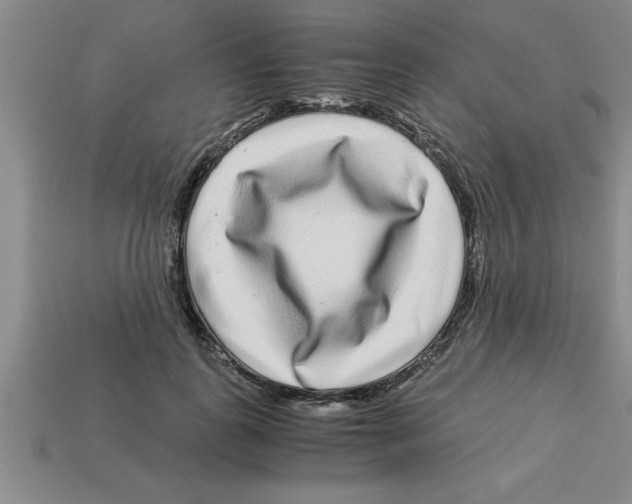 X0000112880747200910021353