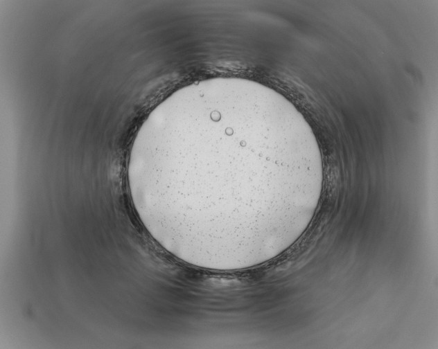 X0000112880749200910021353