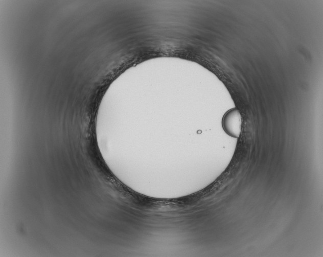 X0000112880750200910021353