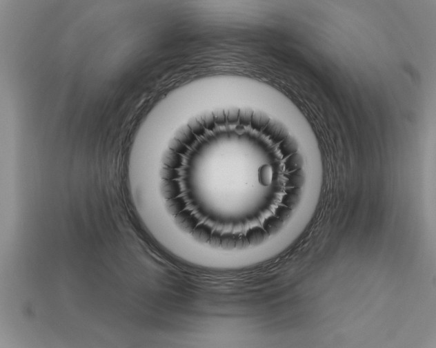 X0000112880752200910021353