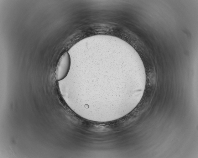 X0000112880753200910021353