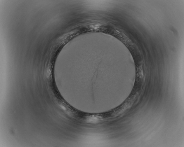 X0000112880754200910021353