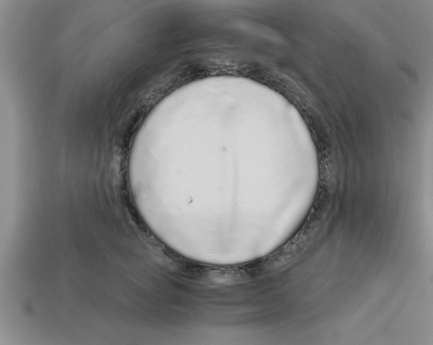 X0000112880757200910021353