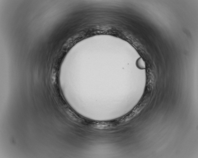 X0000112880758200910021353