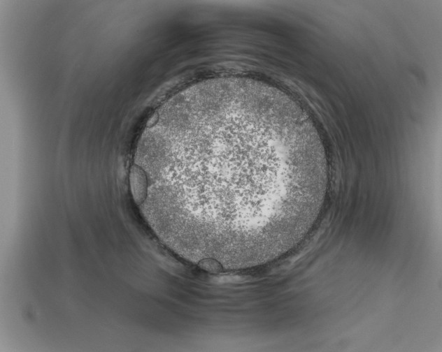 X0000112880759200910021353