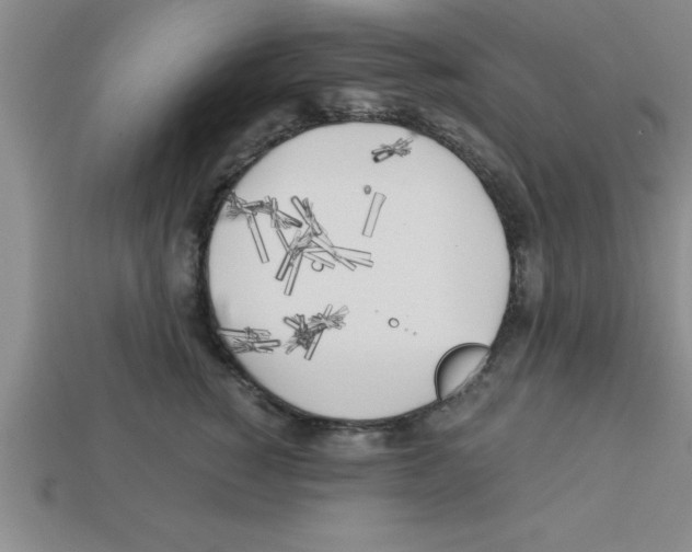 X0000112880760200910021353