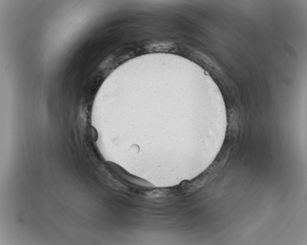 X0000112880761200910021353