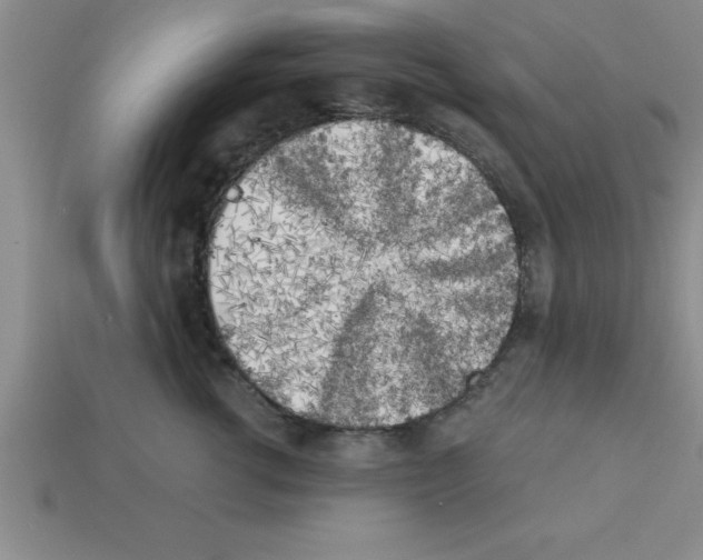 X0000112880762200910021353