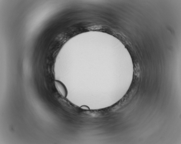 X0000112880763200910021353