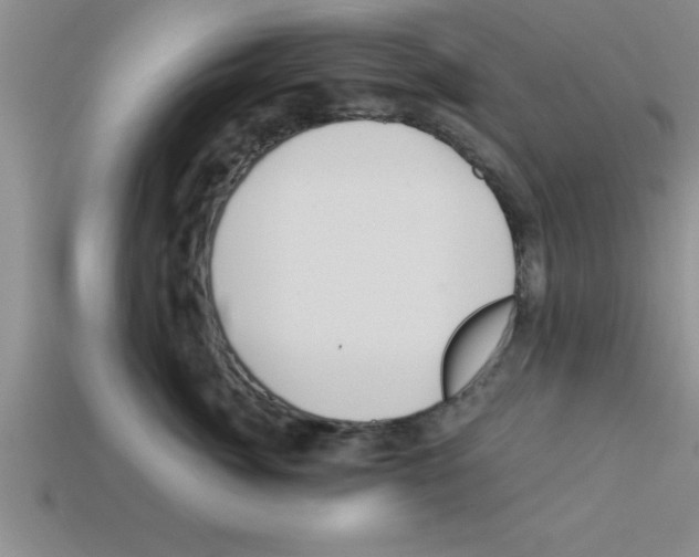 X0000112880764200910021353