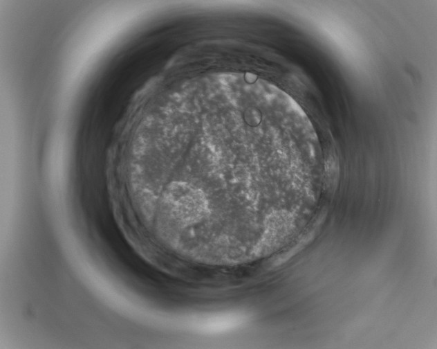 X0000112880765200910021353