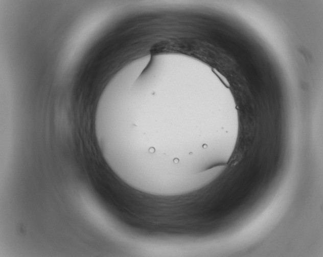 X0000112880766200910021353