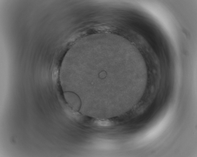 X0000112880767200910021353