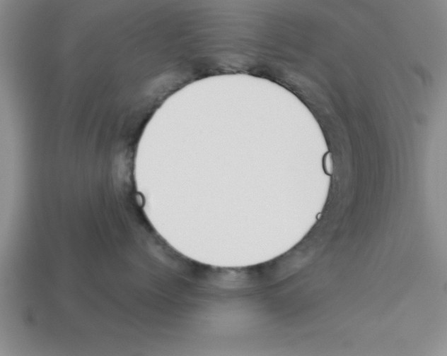 X0000112880768200910021353