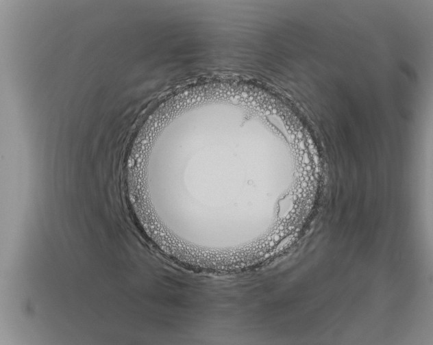 X0000112880769200910021352