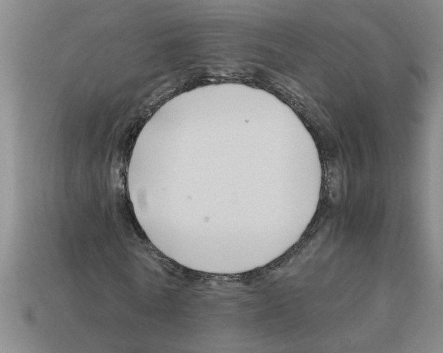 X0000112880770200910021352