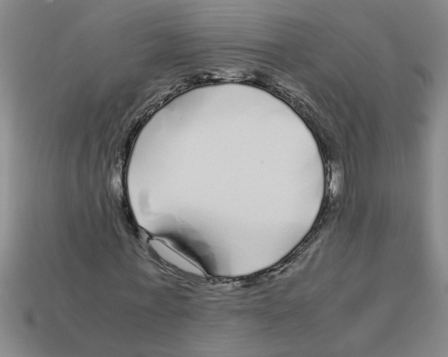 X0000112880771200910021352