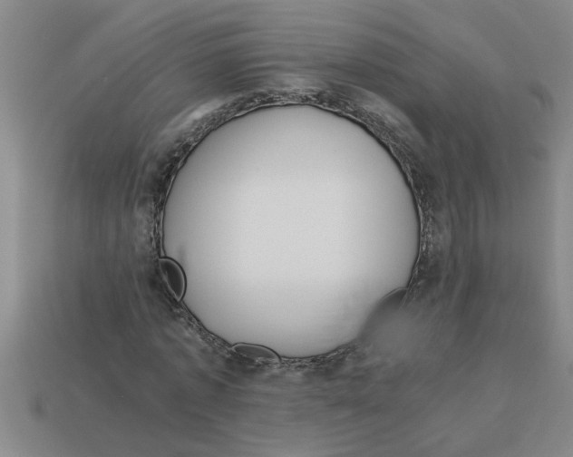 X0000112880773200910021352