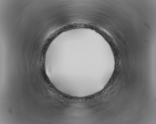 X0000112880775200910021352