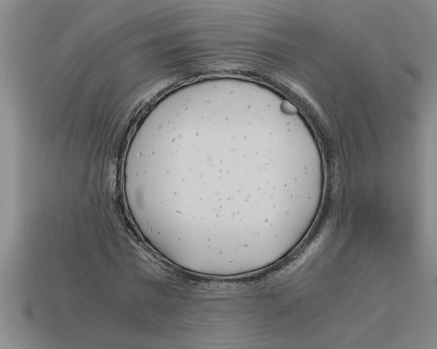 X0000112880777200910021352