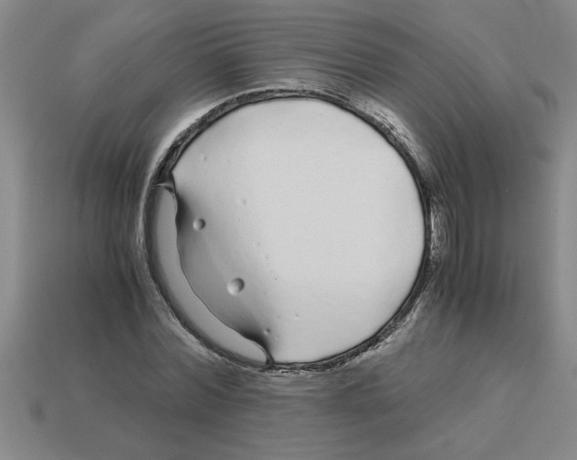 X0000112880780200910021352