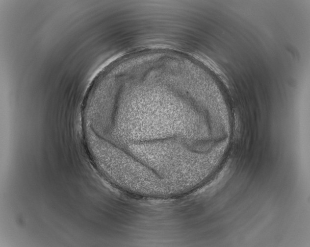 X0000112880782200910021352